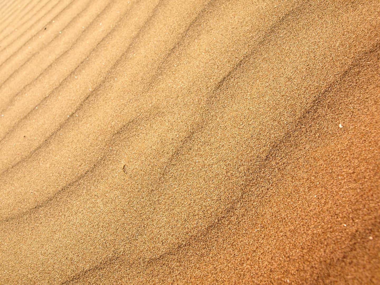 sand texture background