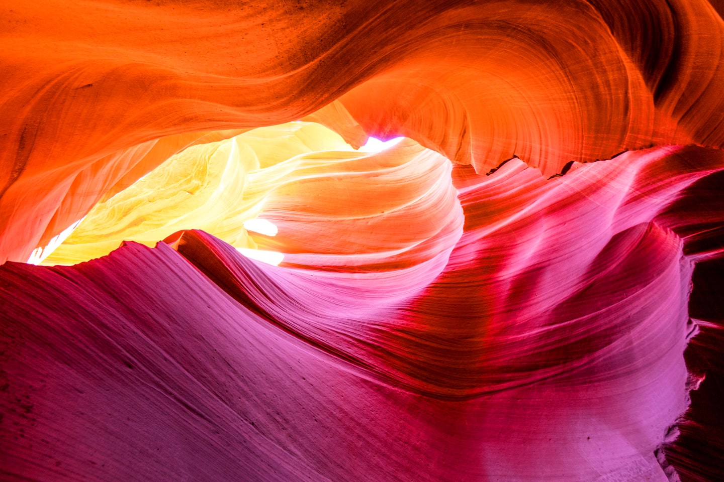 canyon intern background