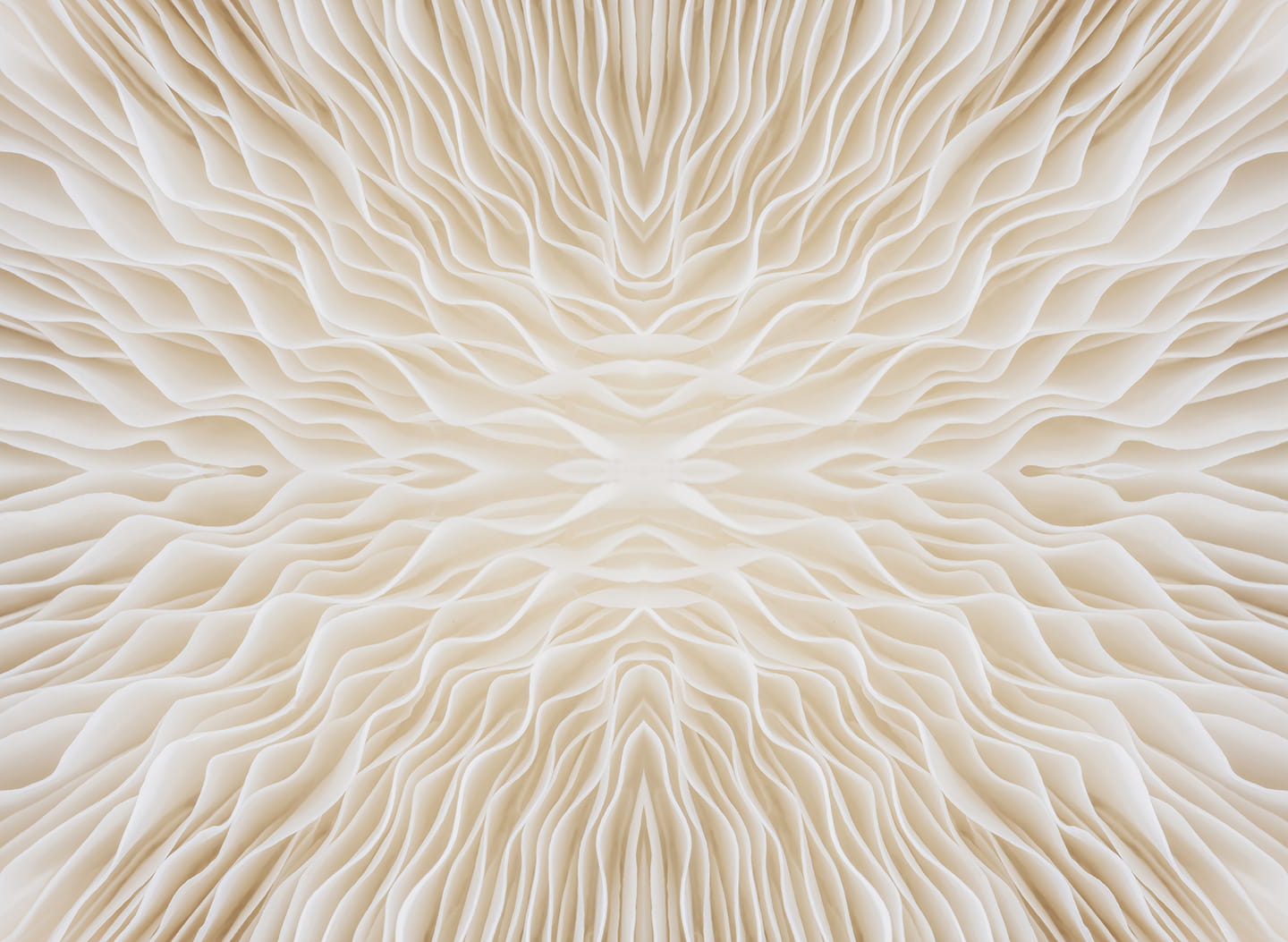 Coverage Detection White Petals